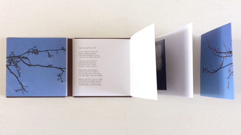 Launch of Waking Light