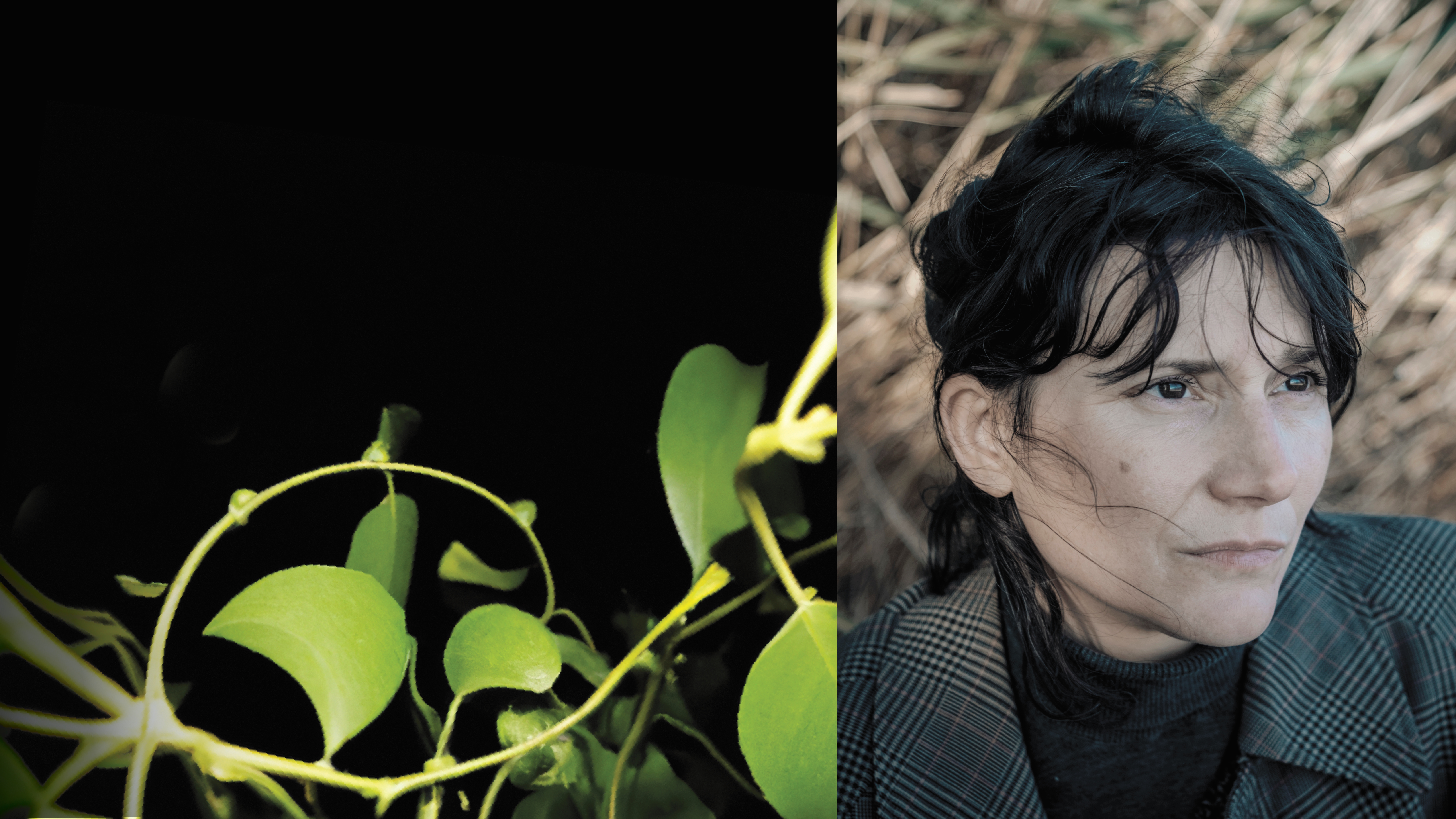 Claire-Louise Bennett’s Nightflowers